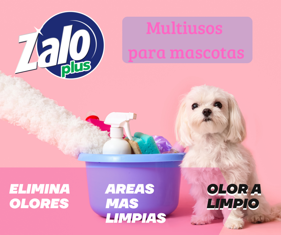 Multi Mascotas