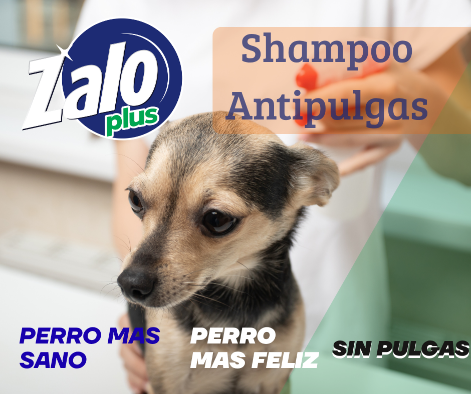 Zalo Antipulgas